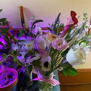 Meet your Posher, Laura